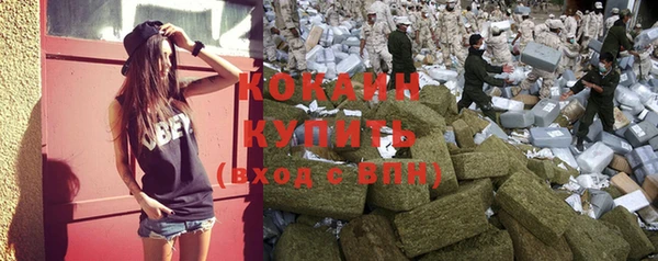 прущие крисы Балабаново