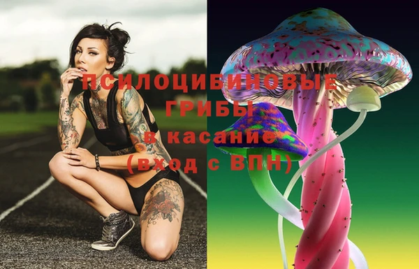 прущие крисы Балабаново