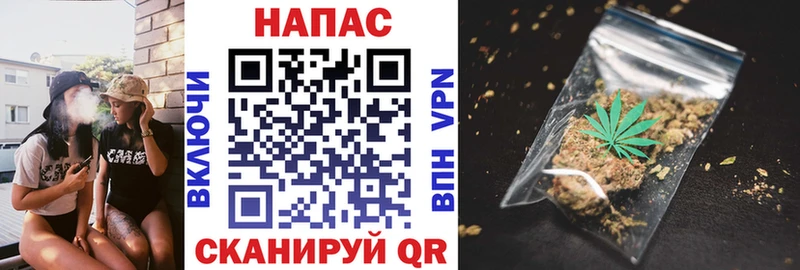 Каннабис марихуана Верея